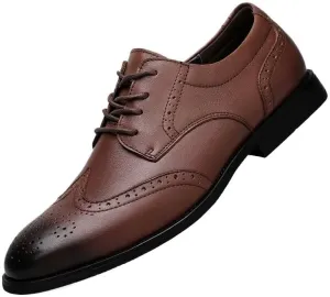 Mens Round Toe Oxford Shoes Leather Dress Shoes Wide Fit Business Formal Shoes for Office Wedding(Brown,10)